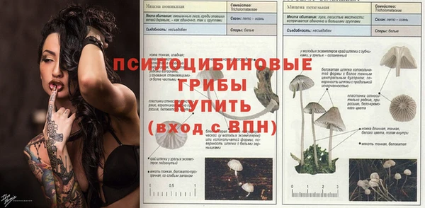 2c-b Балабаново